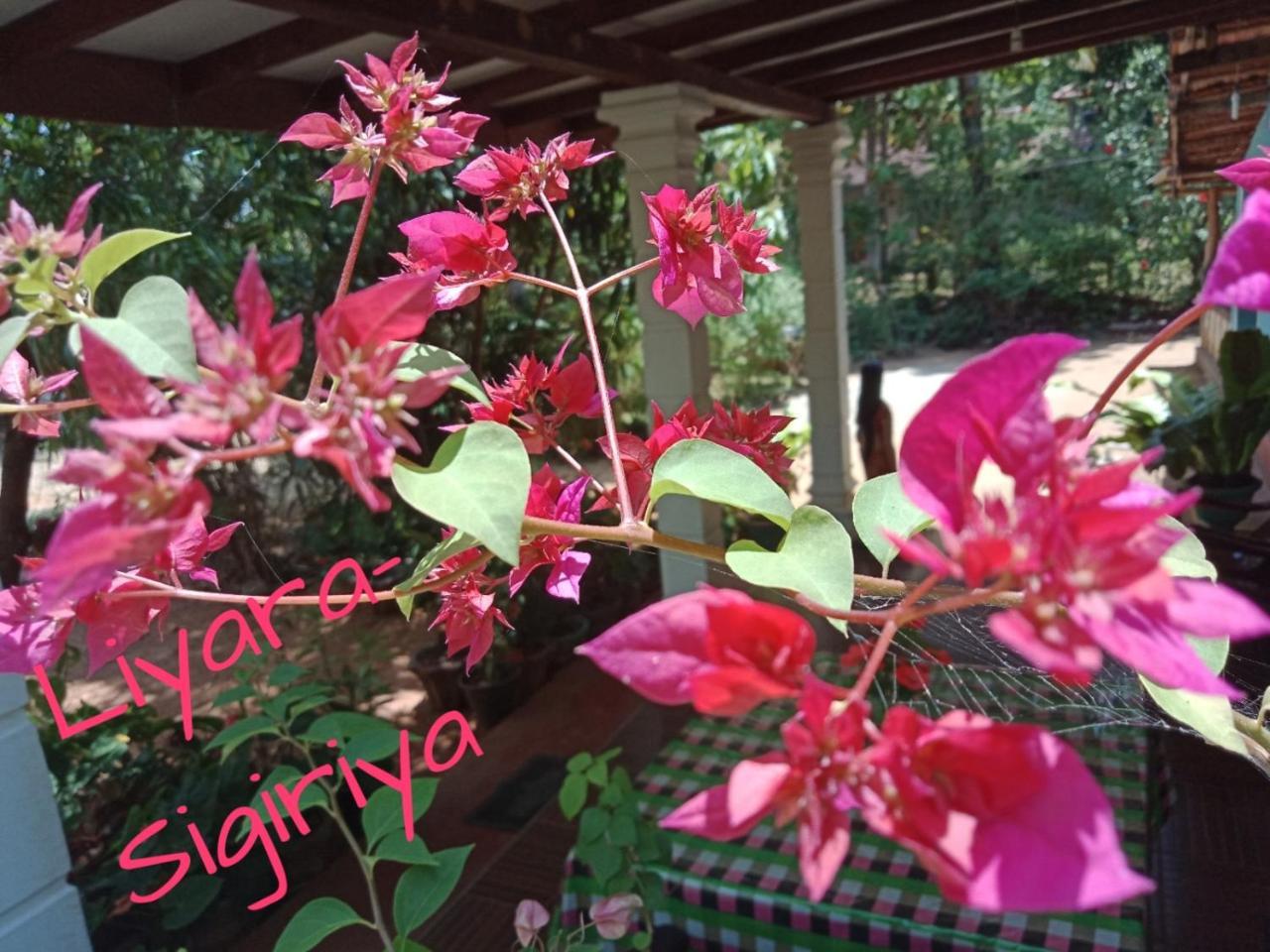 Liyara Home Stay Sigiriya Exterior photo